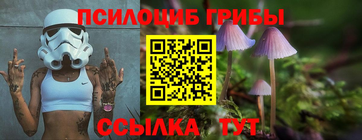 Галлюциногенные грибы MAGIC MUSHROOMS  купить наркотик  Лесосибирск  Вход с VPN 