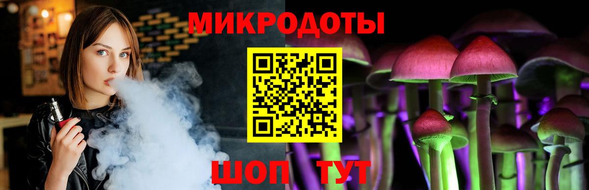 Псилоцибиновые грибы мицелий Лесосибирск